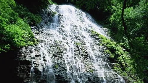 智能高标准高端